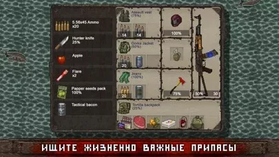 Mini DAYZ: Zombie Survival