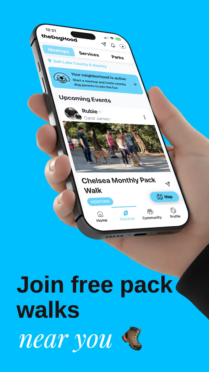 DogHood:Dog Playdates & Meetup