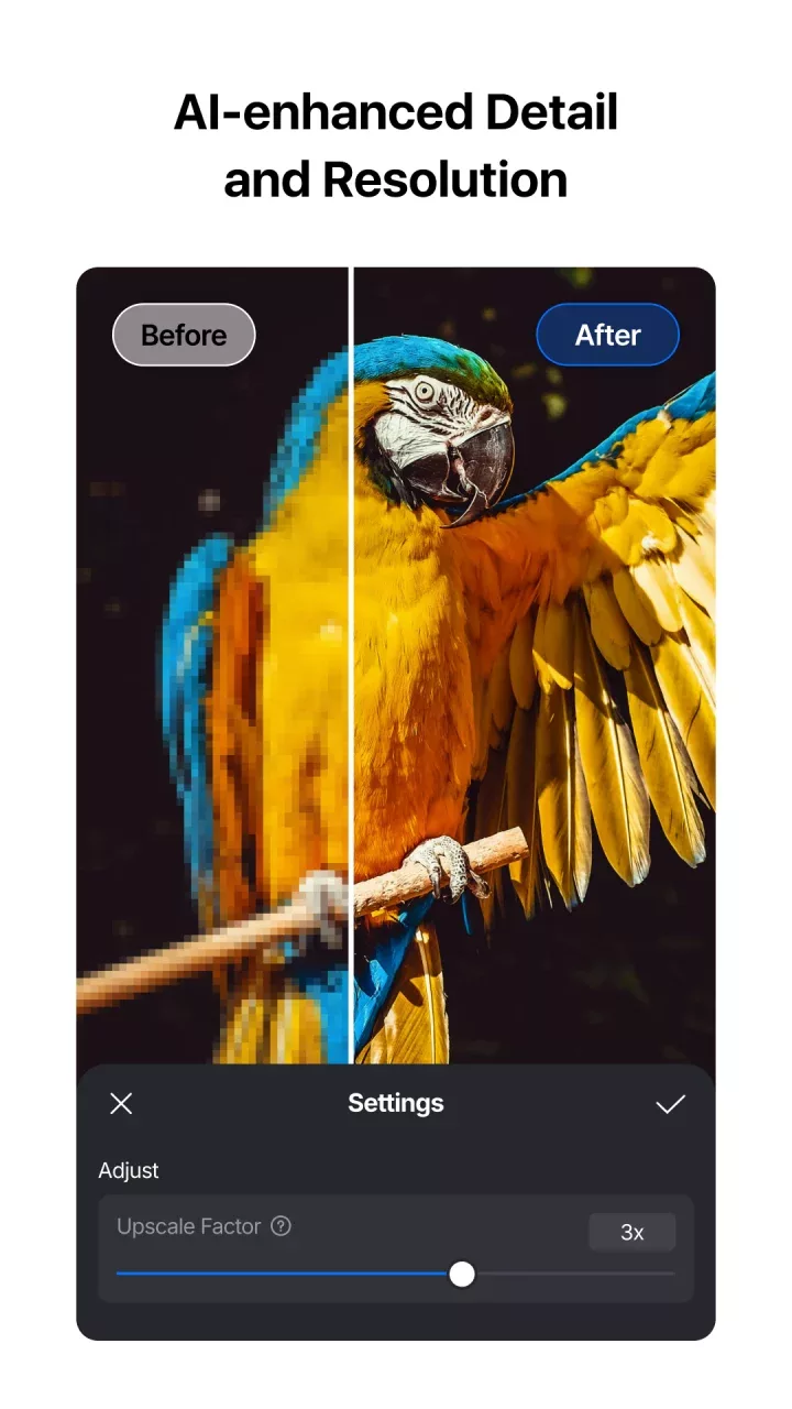 VN: Photo & Video Editor