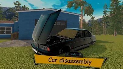 The Wildest Car