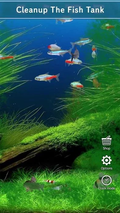 Tropical Fish Tank - Mini Aqua
