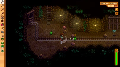 Stardew Valley+