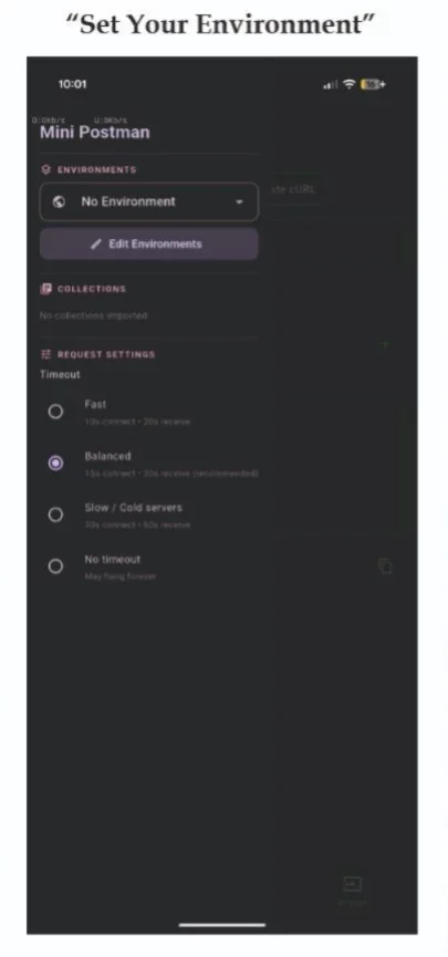 Postman Mini- API Testing Tool