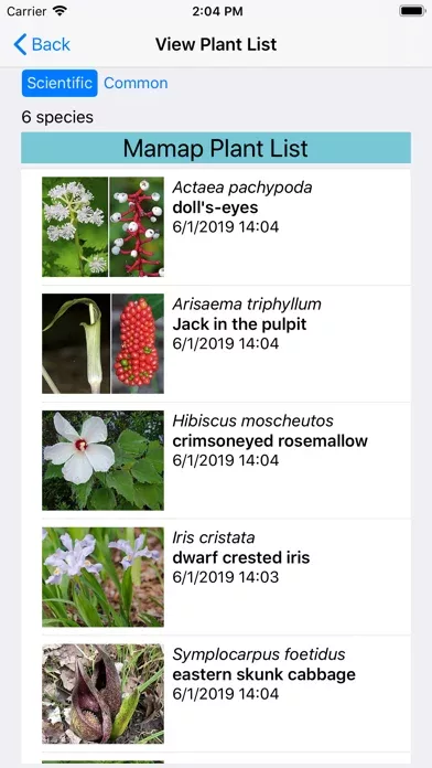 Virginia Wildflowers