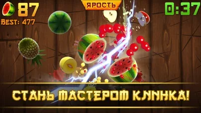 Fruit Ninja®