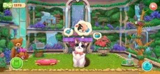 Kitten Match