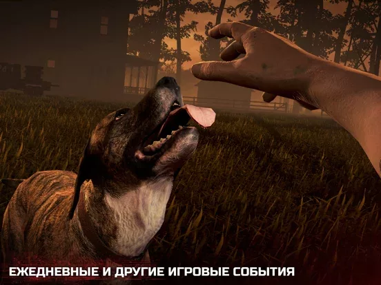 Into the Dead 2