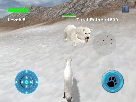 Arctic Fox