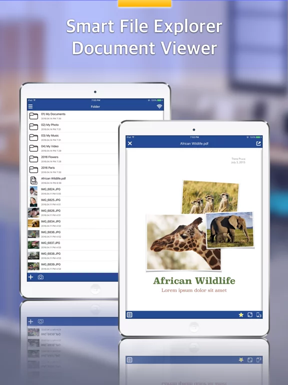 File Explorer (File Manager)