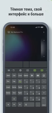 Remote Mouse Pro