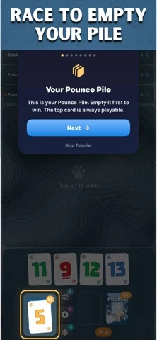 Polar Pounce: Nertz Card Game