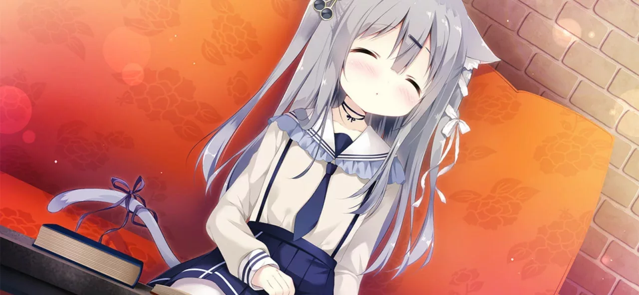 Amairo Chocolate