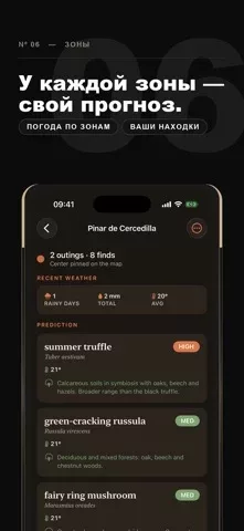 Mycel — карта грибов