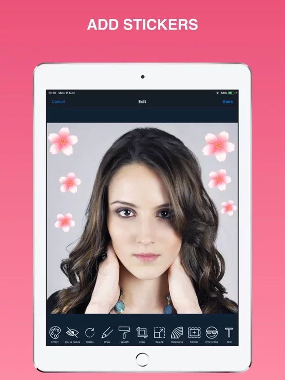 Face make up: beauty tool