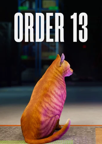 ORDER 13