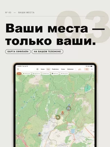 Mycel — карта грибов