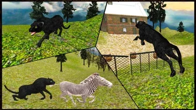 Дикий черный нападение пантеры симулятор 3D - охотиться на зебру, оленя & другое животное в дикой природы сафари