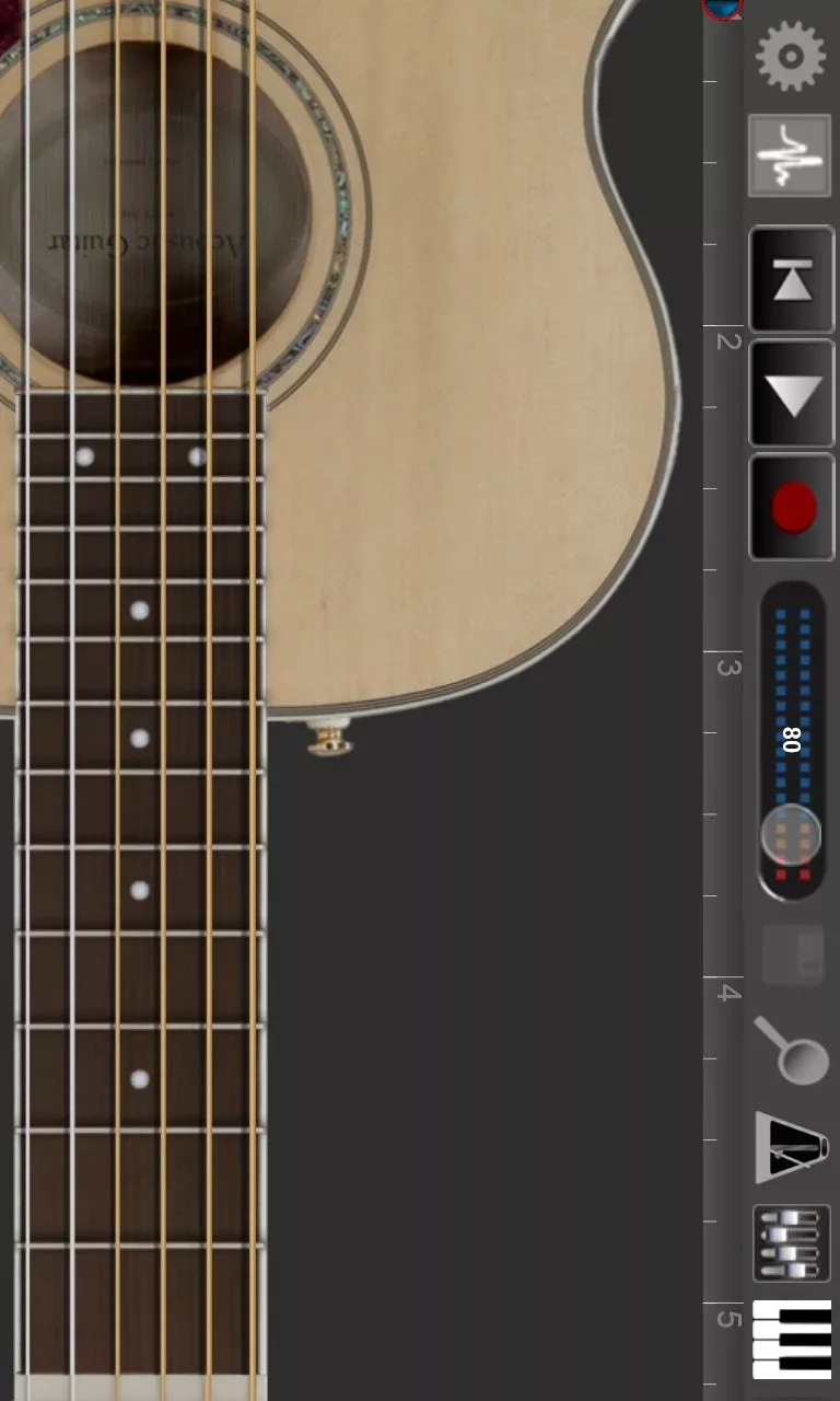 Acoustic Guitar Pro