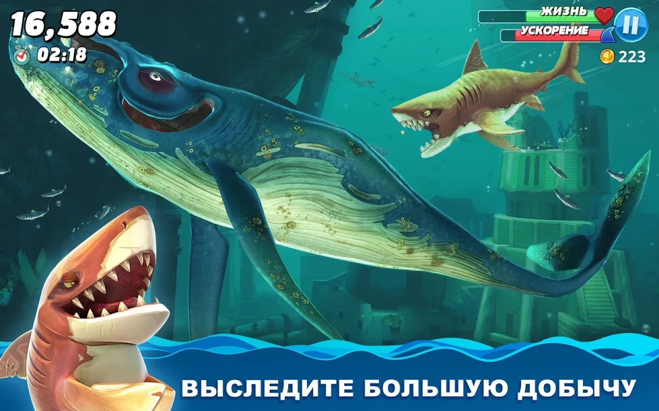 Hungry Shark World