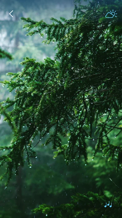 Rain Sounds - Sleep Sounds