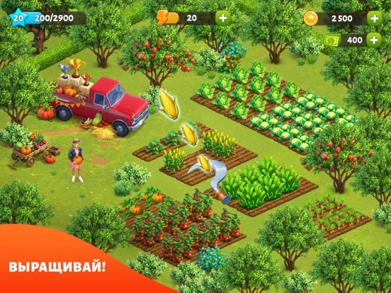 Spring Valley: Ферма