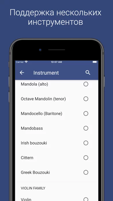 Pro Guitar Tuner