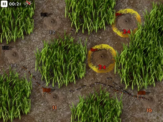 Ant Wars Next