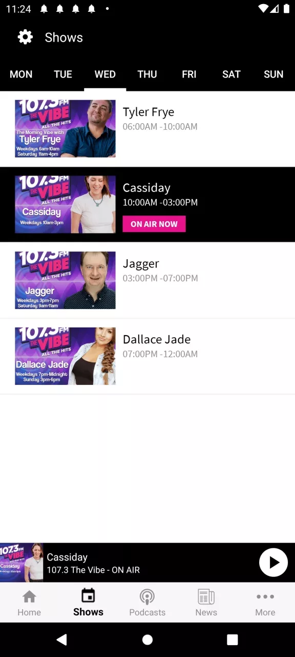 107.3 THE VIBE