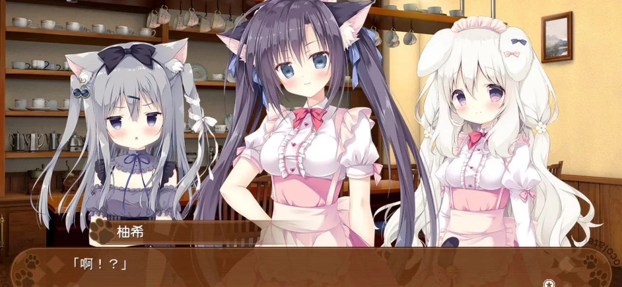 Amairo Chocolate