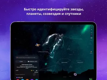 Night Sky