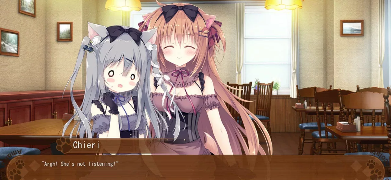 Amairo Chocolate
