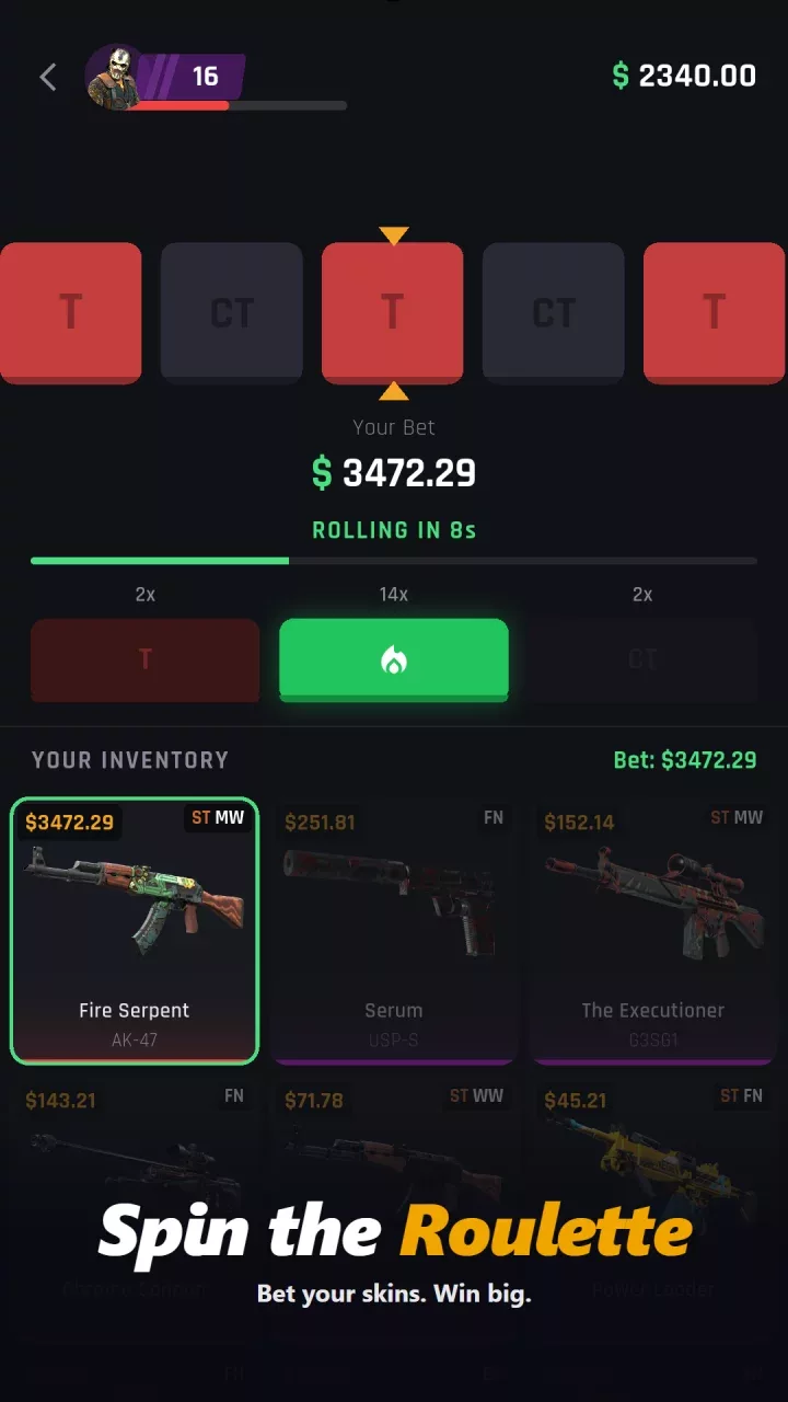 CS2 Case Simulator