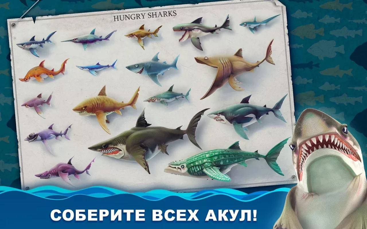 Hungry Shark World