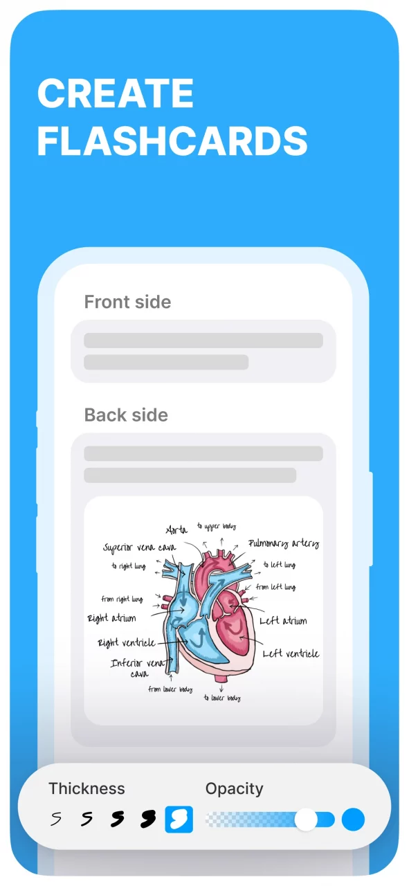 Noji – Flashcards study app