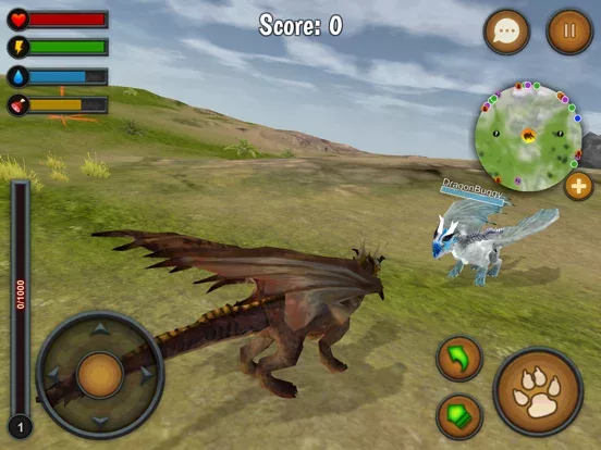 Dragon Multiplayer 3D