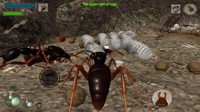 Ant Simulation 3D