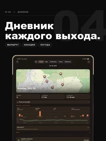 Mycel — карта грибов