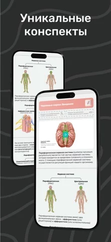 Easy Anatomy: 3D Atlas + AI