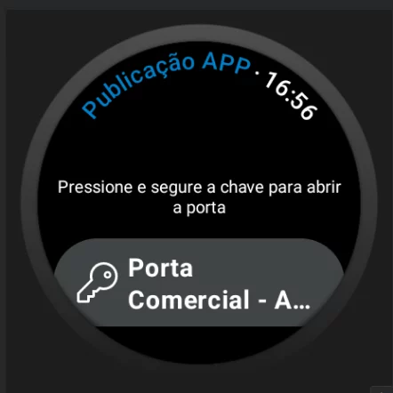 IRACSEG