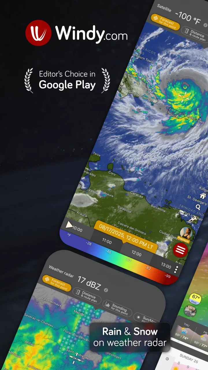Windy.com - Weather Forecast