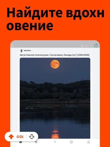 Reddit
