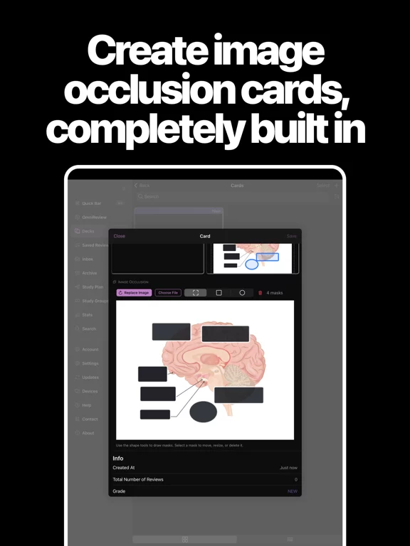 AlgoApp - Flashcards