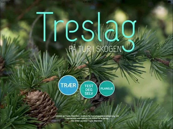 Treslag - på tur i skogen