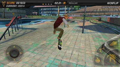 Skateboard Party