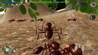 Ant Simulation 3D