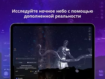 Night Sky