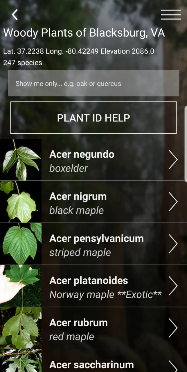 Virginia Tech Tree ID