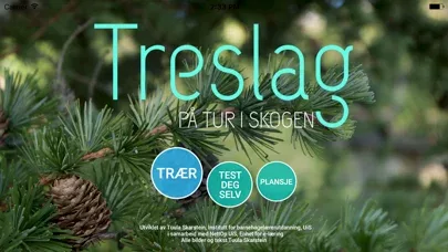 Treslag - på tur i skogen