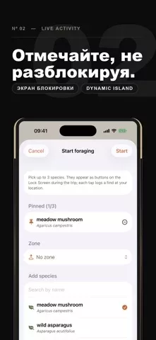 Mycel — карта грибов