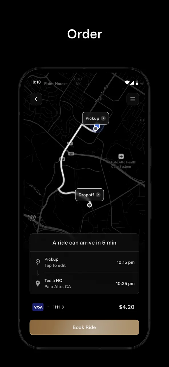 Tesla Robotaxi